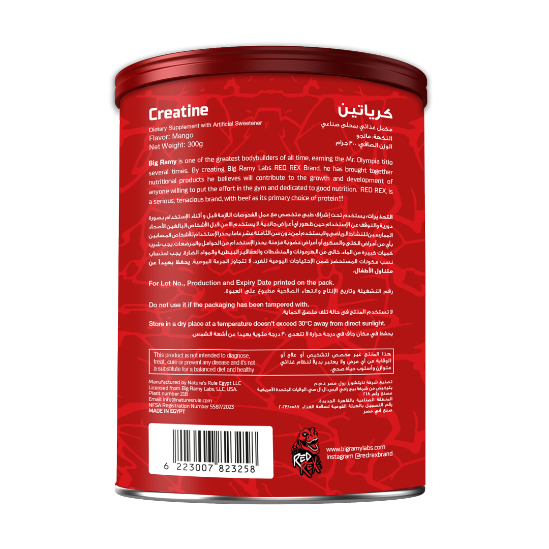 REDREX  CREATINE 300GM