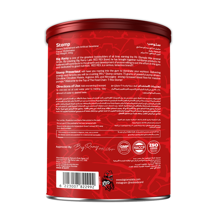 REDREX Stomp Fruit Punch 455Gm